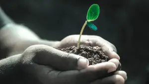The Volunteers for Nonprofits logo - a seedling cupped in a hand