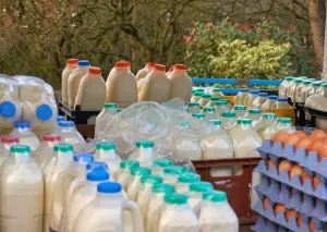 Picture of a lot of milk bottles (on milk delivery truck)